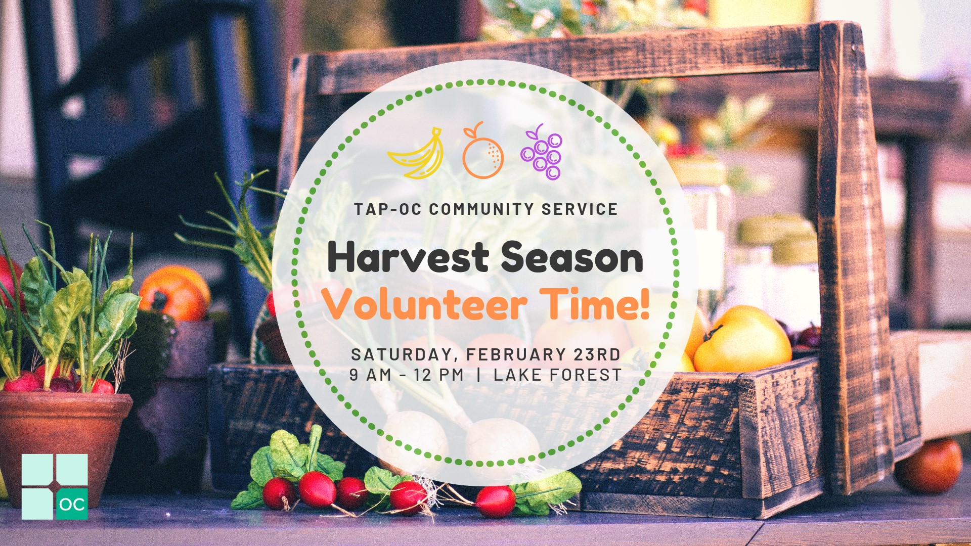 TAP-OC Harvest Event February 2019